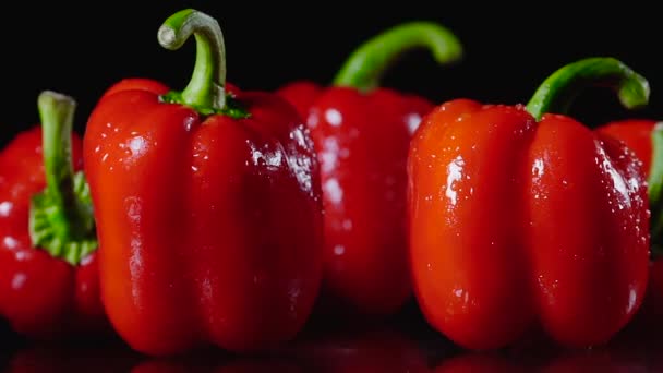 Frische rote Paprika frisch gewaschen Tropfen fließen auf den Tisch. Nahaufnahme auf schwarzem Hintergrund. — Stockvideo
