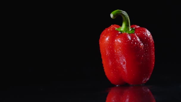 Ώριμες κόκκινες πιπεριές περιστρεφόμενη σε μαύρο φόντο. Μια σταγόνα νερό λάμπει με το backlight. Γκρο πλαν, αργή κίνηση — Αρχείο Βίντεο