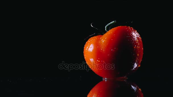 纯成熟的西红柿在黑色背景下旋转。特写. — 图库视频影像