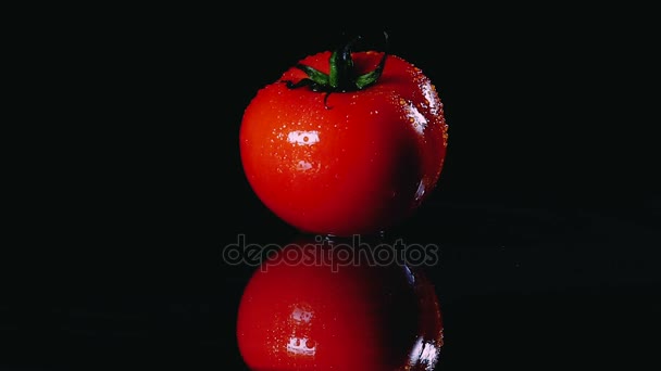 Tomate maduro puro girando sobre fundo preto. Close-up . — Vídeo de Stock