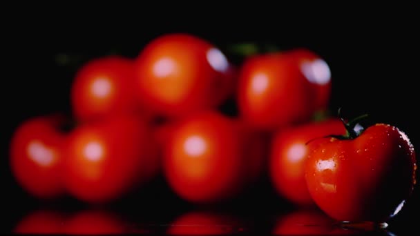 Свіжі вимиті помідори знаходяться на поверхні на чорному тлі. Крупним планом крапля води тече над поверхнею овочів . — стокове відео