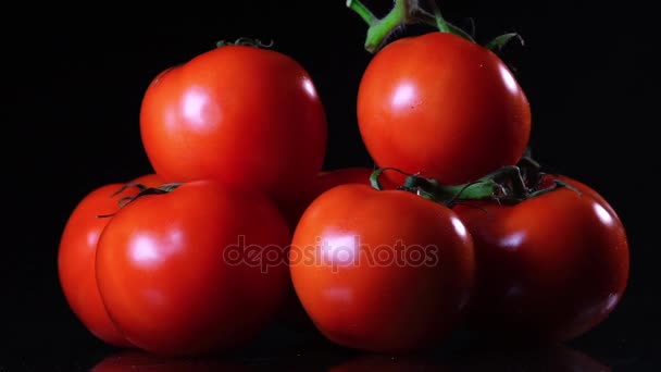 Beaucoup de tomate fraîche mûre couchée sur une table en verre noir et tourne autour de son axe. Gros plan légumes frais . — Video