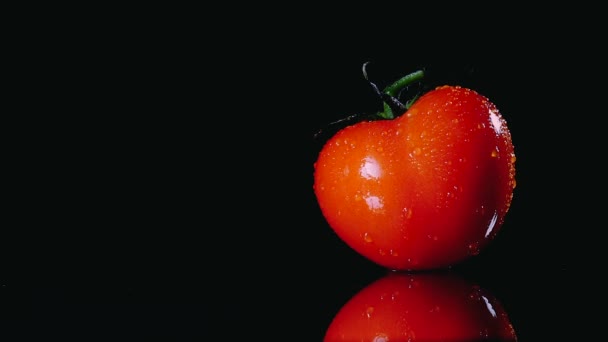 Φρέσκο ασβεστωμένο ντομάτες είναι στην επιφάνεια σε μαύρο φόντο. Κοντινό πλάνο του μια σταγόνα νερό που ρέει πάνω από την επιφάνεια των λαχανικών. — Αρχείο Βίντεο