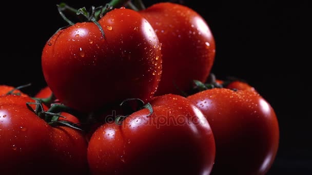 Siyah zemin yüzeyinde taze yıkanmış domates vardır. Bir damla su Close-Up sebze yüzey üzerinde akar. — Stok video