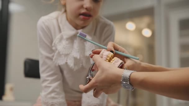 Tandläkaren bedriver ett samråd en liten flicka som visar hur man borstar tänderna med en tandborste med en protes. Närbild. Flickan lär sig att borsta tänderna med hängslen. — Stockvideo