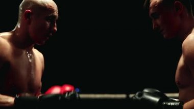 İki profesyonel boksörler eldiven ile hoş bir tekme tutmak ve bir düello başlar