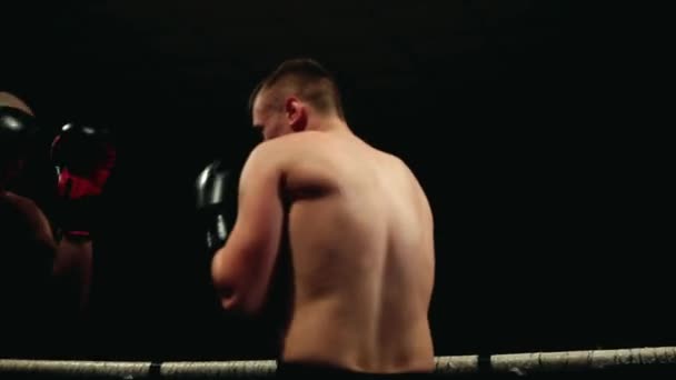 Sul ring di pugilato, il calvo pompato Boxer conduce un duello con un partner in guanti da boxe . — Video Stock