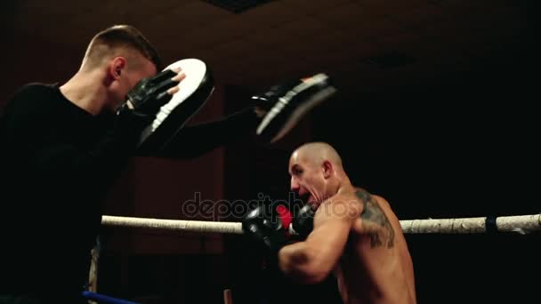 Der Boxer ist ein großer Lapan, hält Schläge auf die Pfoten im Ring. Der Trainer gibt Tipps im Training. — Stockvideo