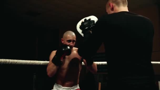 Intensives Training für den Boxer, um mit dem Trainer Schläge auszuarbeiten. — Stockvideo