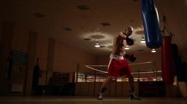 Bir pompalı-up adam boks Ayakkabı ve spor salonu zemin bir boks halka karşı şortla. Tam yükseklikte. kamera hareketi