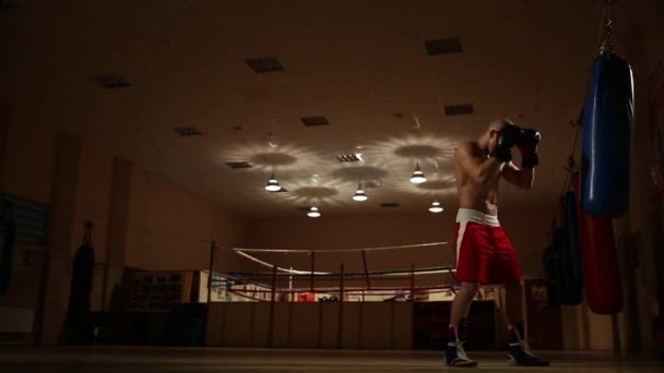 Nabitý muž v boxerské boty a šortky v tělocvičně na pozadí boxerský ring. Celkový plán — Stock video