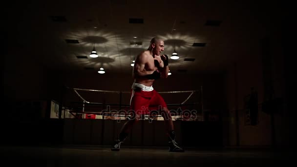 Boxeador profesional mantiene una pelea con una sombra contra el telón de fondo de un anillo de boxeo en guantes de boxeo . — Vídeo de stock