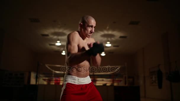 Um boxeador profissional no fundo do anel mantém a sombra de perto . — Vídeo de Stock
