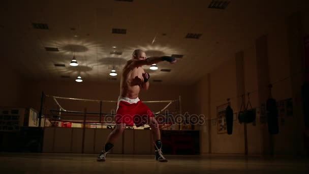 Um boxeador profissional no fundo do ringue gasta sombra Boxe, o movimento da câmera o plano geral . — Vídeo de Stock