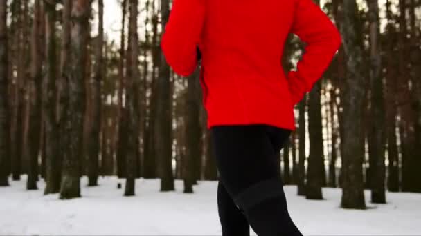 Een loper in een rode jas loopt door het bos in een jumper in casual kleding. Een grote billboards camera toont de poten en de atleten lichaam. Slow-motion. 120 frames per seconde — Stockvideo