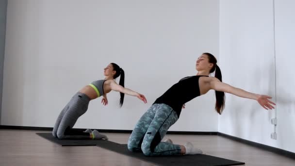 Dans le studio, deux filles sont engagées dans des pilates. Debout sur leurs genoux s'écartent l'entraînement arrière l'avant de la cuisse et écartant leurs bras sur les côtés. 2 personnes exécution synchrone. Yoga — Video
