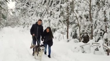 Kış çam ormanı içinde olmak mutlu bir evli çift güzel siyah-ağrı Siberian dış yapraklar ile yürür. Bunlar yatıştırıcı ve neşeli insanların yüzleri.