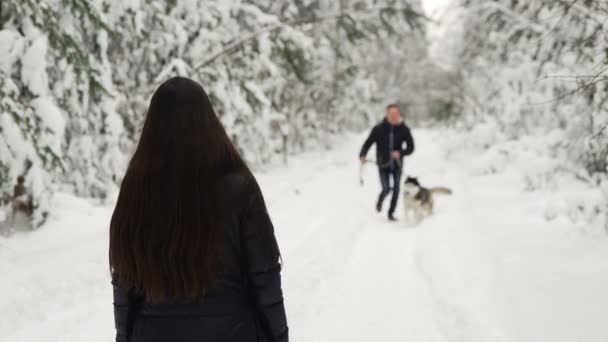 在冬天的森林里, 女孩张开双手站在她的背上, 一个带着沙哑狗的男人跑来迎接她。女人抱着狗, 微笑着. — 图库视频影像