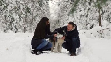 Onların favori Sibirya şırfıntı köpek sarılma ormanda oturan kadın ve aile çift erkek. Mutlu insanlar ve mutlu hayvanlar.