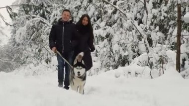 Kış çam ormanı içinde olmak mutlu bir evli çift güzel siyah-ağrı Siberian dış yapraklar ile yürür. Bunlar yatıştırıcı ve neşeli insanların yüzleri.
