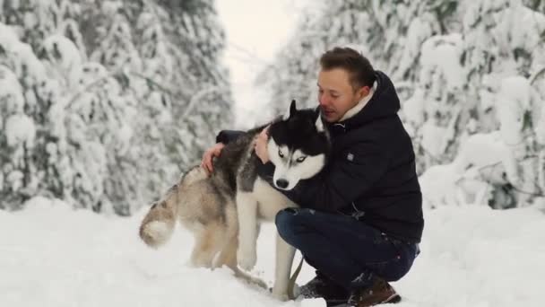 Un hombre abraza a su husky siberiano en el bosque. En el fondo árboles en la nieve. Orgullo y felicidad en los ojos. Pasea con el perro . — Vídeos de Stock