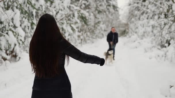 Na floresta de inverno, a menina fica de costas com as mãos abertas, e um homem com um cachorro peludo corre para encontrá-la. Uma mulher abraça um cão e sorri. Movimento lento . — Vídeo de Stock