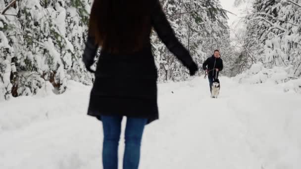 Im Winterwald steht das Mädchen mit offenem Rücken, und ein Mann mit einem Husky-Hund läuft ihr entgegen. eine Frau umarmt einen Hund und lächelt. Zeitlupe. — Stockvideo