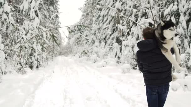 Ein Mann geht durch den Wald und trägt einen Hund auf dem Arm. Der sibirische Husky im Wald hilft, den Hund nach Hause zu bringen. Winterwald — Stockvideo