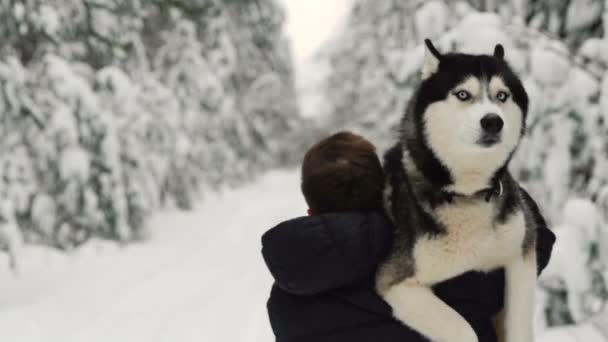 男は森の中を歩くし、彼の腕の中で犬を運ぶ。森林人のシベリアン ・ ハスキーは、犬の家をもたらすのに役立ちます。冬の森 — ストック動画