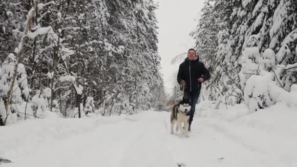 В зимнем лесу мужчина в черной куртке и джинсах бегает с сибирской хаски-собакой, замедленной съемкой. Сосновый лес, веселая прогулка с собакой. Медленное движение — стоковое видео