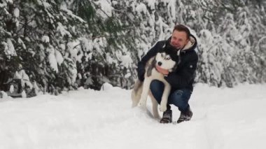 Bir adam onun Siberian dış yapraklar ormanda sarılmak. Kar arka plan ağaçlarda. Gurur ve mutluluk gözünde. Köpek ile yürümek.