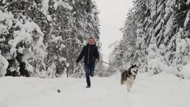 En el bosque de invierno, un hombre con una chaqueta negra y jeans corre con un perro husky siberiano, un disparo en cámara lenta. Bosque de abeto de pino, un alegre paseo con un perro. Movimiento lento — Vídeo de stock