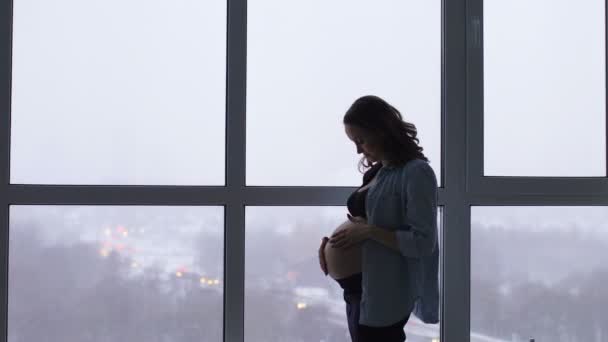 Rano szczęśliwy uśmiechający się kobieta w ciąży w eleganckie apartamenty z panoramicznymi oknami. — Wideo stockowe