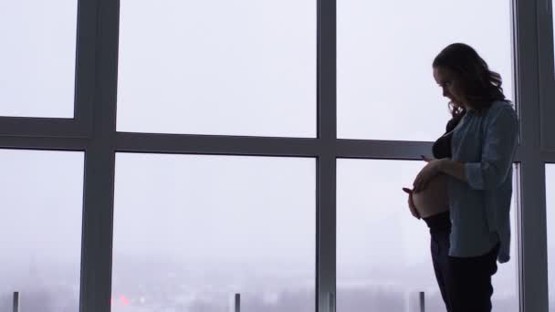 De ochtend van een gelukkig lachende zwangere vrouw in een chique appartement met panoramische ramen. Een vrouw wacht op het uiterlijk van een baby met liefde streelde haar buik — Stockvideo