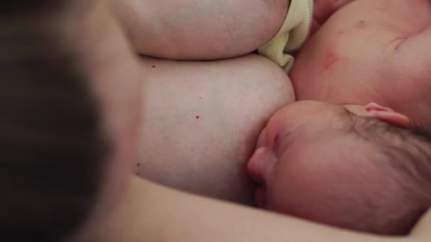 Mamá está acostada con el recién nacido recién nacido y alimentándolo con un pecho sosteniendo su pequeña mano . — Vídeos de Stock
