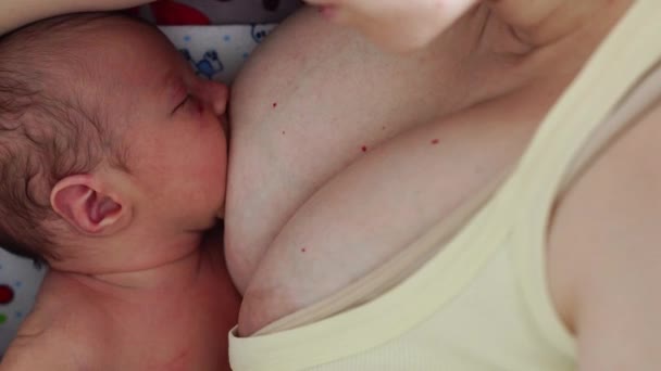 Mom は、生まれたばかりの新生児で横になっている、胸の小さな手を握って彼を供給. — ストック動画