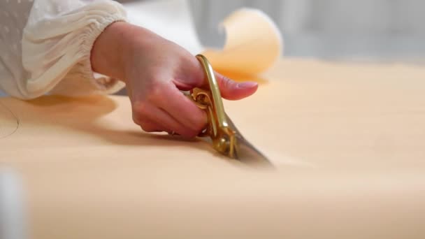 Jonge vrouwelijke ontwerper met tape-lijn aan haar nek permanent in de kleermakerij studio en lijnen met krijt en regel tekenen. Vrouwelijke couturier in atelier uitsnijden van een patroon voor toekomstige kleding. handgemaakte — Stockvideo