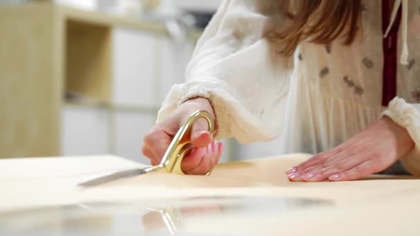Diseñadoras de moda femenina dibujando bocetos para la ropa en el taller. Secuencia — Vídeos de Stock
