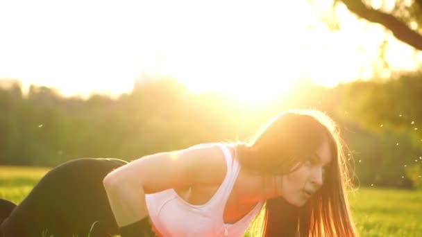 Push up o press up esercizio da parte di una giovane donna. Ragazza che lavora su erba crossfit allenamento di forza nel bagliore del sole del mattino contro un cielo bianco con copyspace. Modello caucasico . — Video Stock