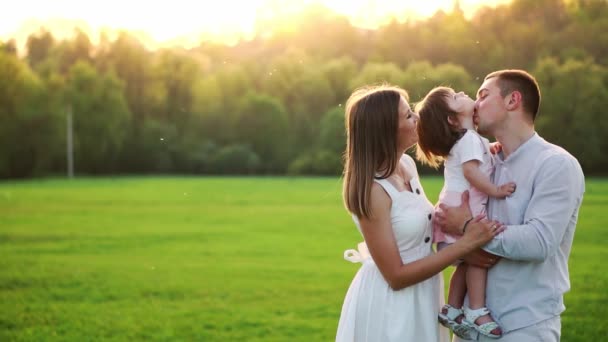 Glückliche junge Familie mit Kind beim Spazierengehen auf dem Sommerfeld. gesunde Mutter, Vater und kleine Tochter genießen die Natur zusammen, im Freien. Sonnenuntergang. — Stockvideo
