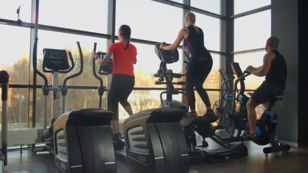 Mujer joven en forma usando un entrenador elíptico en un gimnasio. Un grupo de mujeres jóvenes entrenan en equipos de entrenamiento deportivo en un gimnasio de fitness. Tiro de leva constante — Vídeos de Stock