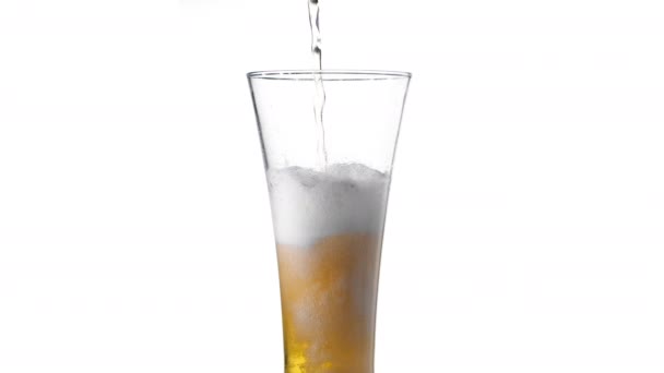 Pouring yellow beer on white background. Barm, bubble fresh drinking, foamy golden alcohol. — Stock Video