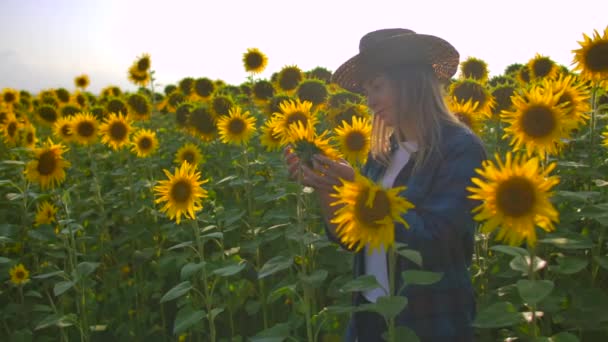 La mujer está mirando los girasoles. — Vídeos de Stock