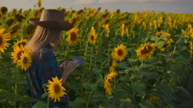 Botanik öğretmeni tarladaki ayçiçeklerini tarif ediyor.