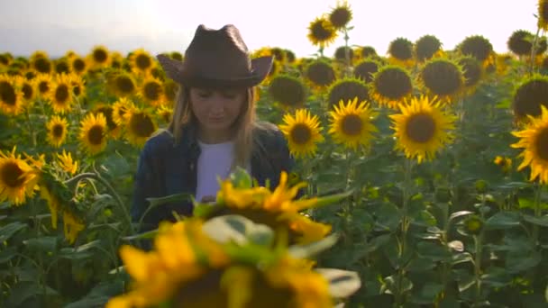 La joven está estudiando girasoles en el campo. — Vídeos de Stock