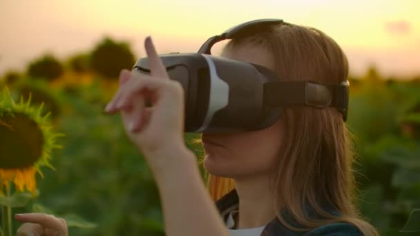 A gerente do agricultor usa óculos VR no campo de girassol ao pôr do sol na noite de verão — Vídeo de Stock