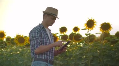 Gün batımında bir ayçiçeği tarlasında tabletli bir öğrenci.