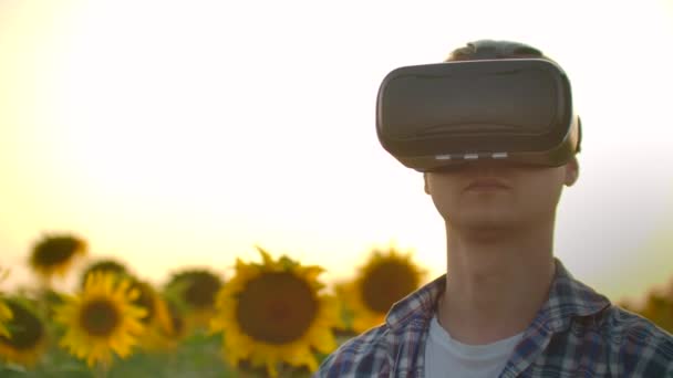 Современный фермер в поле с подсолнухами использует технологию VR. Имитация пользовательского интерфейса приложений. Контроль ирригационной системы с помощью дронов. Проверьте поле с помощью беспилотников — стоковое видео
