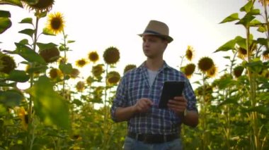 Çiftçi tarlada modern teknoloji kullanır. Şapkalı bir adam gün batımında elinde tablet bir bilgisayarla ayçiçeği tarlasına girer. Bitkilere bakar ve parmaklarıyla ekrana bastırır.. 