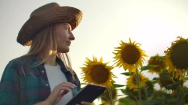 Çiftçi kadın tarlada modern teknoloji kullanıyor. Şapkalı bir adam gün batımında elinde tablet bir bilgisayarla ayçiçeği tarlasına girer. Bitkilere bakar ve parmaklarıyla ekrana bastırır..